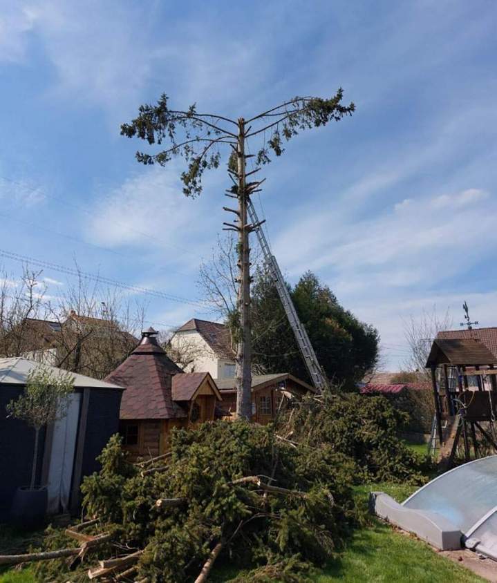 Travaux d’abattage Nancy