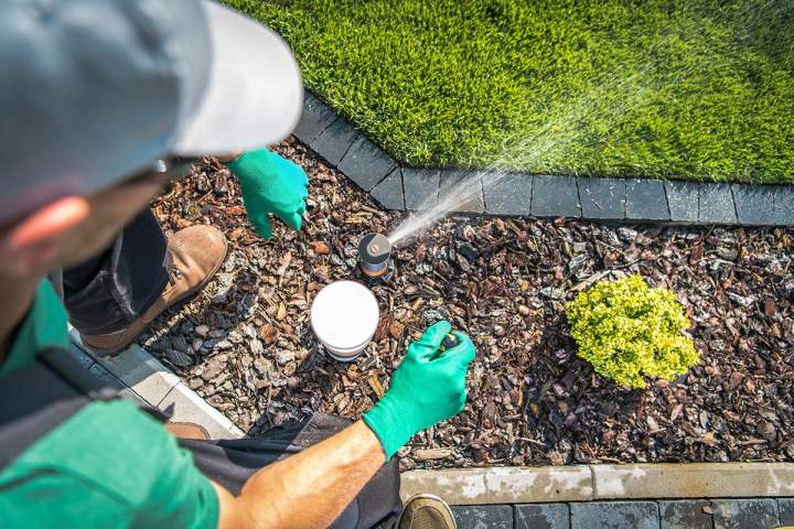 Le professionnel qu’il vous faut pour les travaux de jardinage