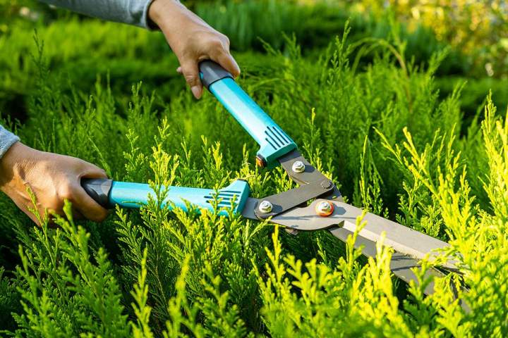 Spécialiste de la création d’espaces verts