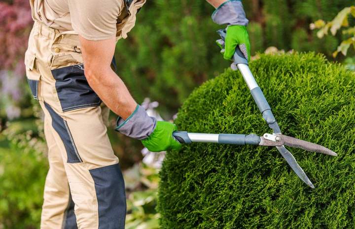 Travaux de jardin Nancy