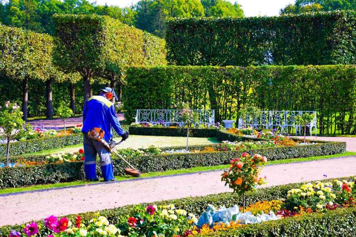 Jardinier Nancy
