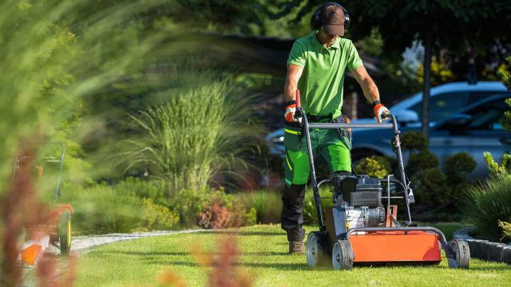 Service d’entretien d’espaces verts Nancy